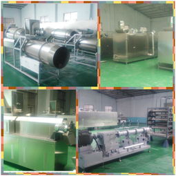 休閑皮帶市場報價及食品行業定制廠家概述